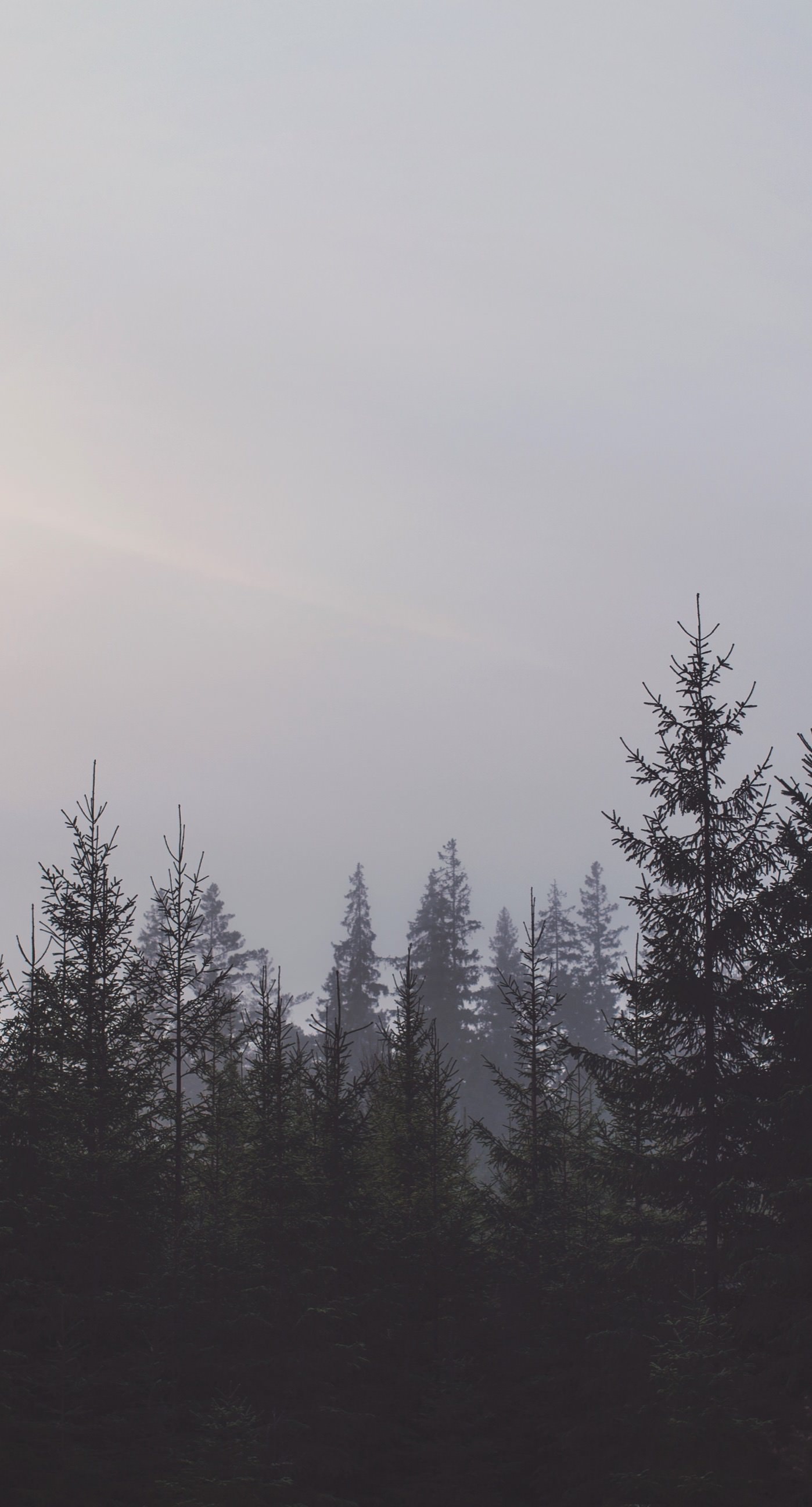 Langit Hutan Lanskap Wallpaper Sc Iphone Plus