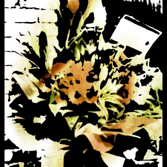 花 オブジェの Android スマホ 壁紙