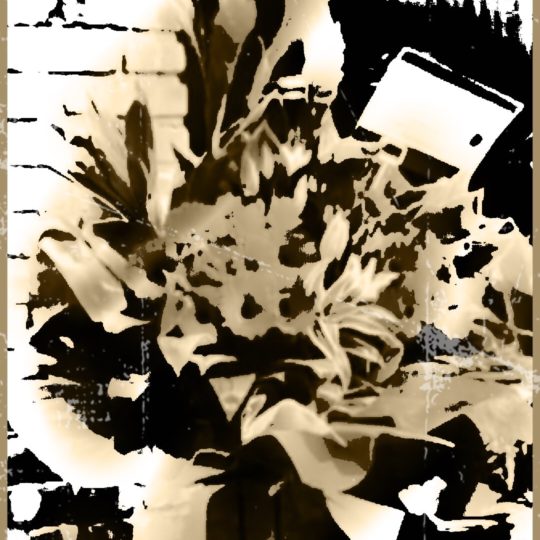 花 オブジェの Android スマホ 壁紙