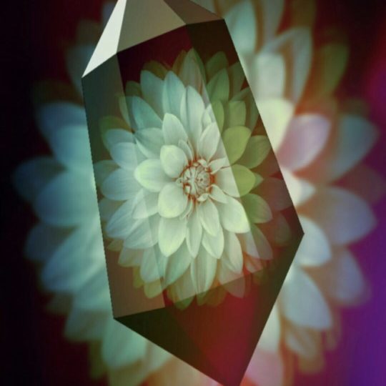 花 水晶の Android スマホ 壁紙