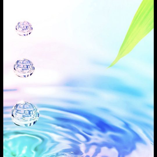 水滴 葉っぱの Android スマホ 壁紙