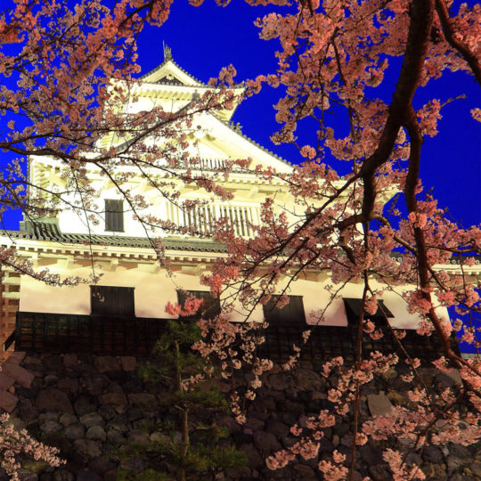 風景城桜の Android スマホ 壁紙