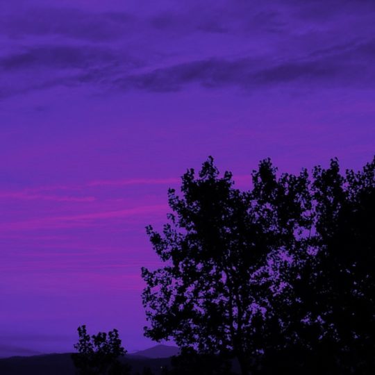 風景紫の Android スマホ 壁紙