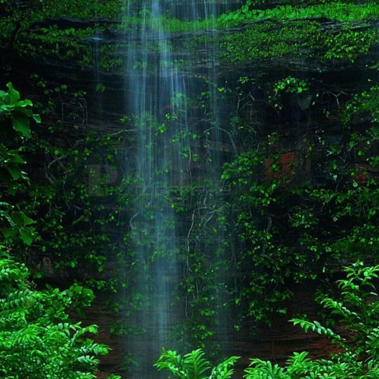 風景滝緑の Android スマホ 壁紙