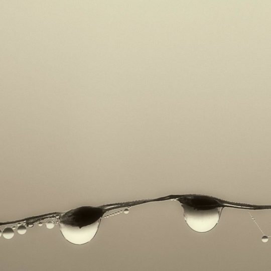自然水滴の Android スマホ 壁紙