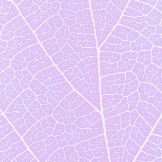 模様葉脈紫の Android スマホ 壁紙