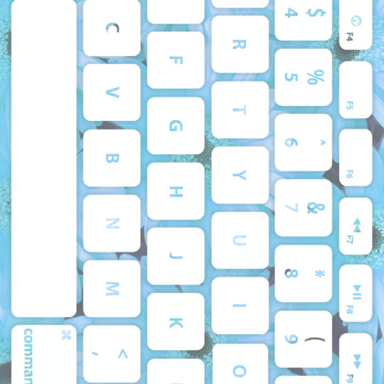 花キーボード青白の Android スマホ 壁紙