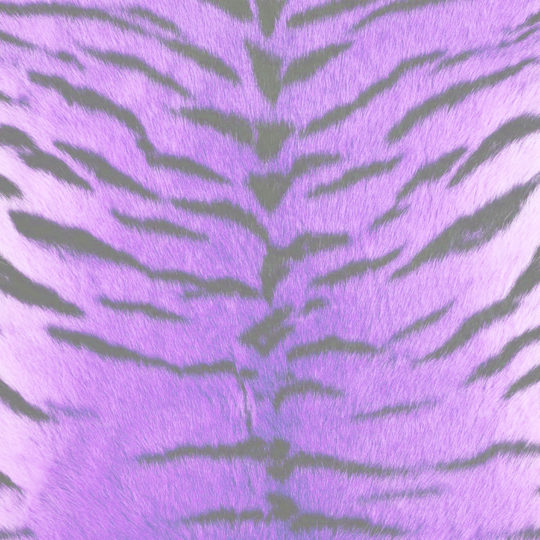 毛皮模様トラ紫の Android スマホ 壁紙