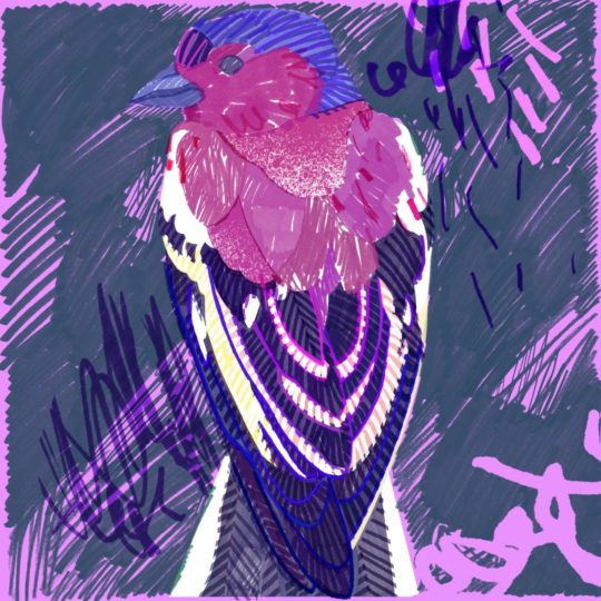 動物絵鳥紫の Android スマホ 壁紙
