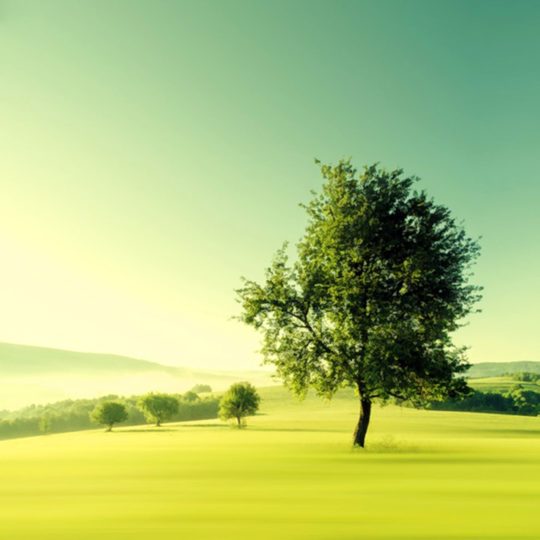 風景草原緑の Android スマホ 壁紙