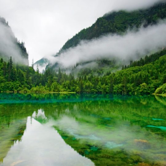 風景湖緑の Android スマホ 壁紙