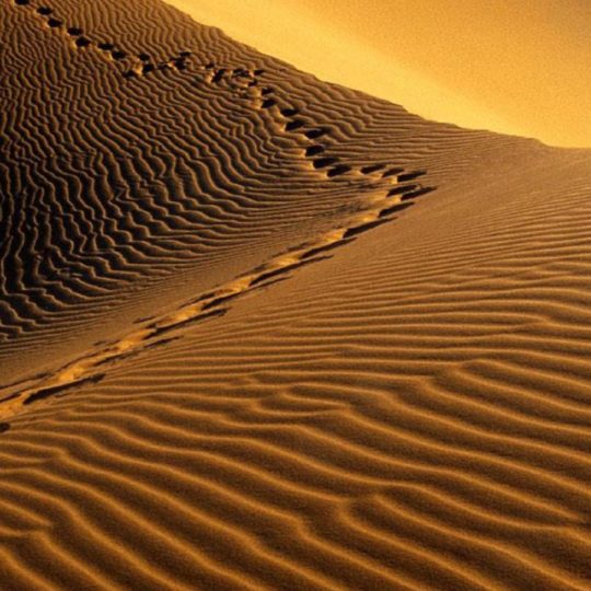 風景砂漠の Android スマホ 壁紙
