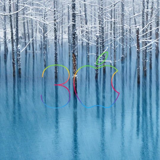 apple風景湖雪の Android スマホ 壁紙
