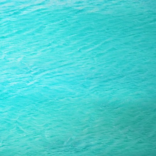風景海の Android スマホ 壁紙