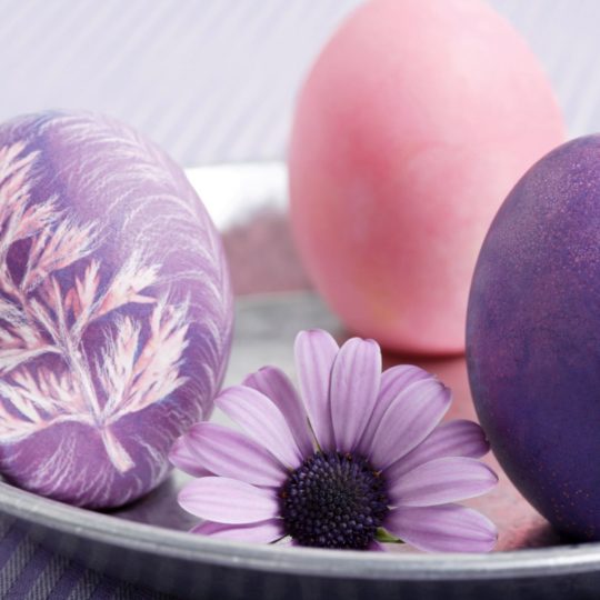 自然花紫卵の Android スマホ 壁紙