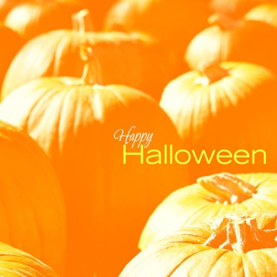 ハロウィンかぼちゃ黄の Android スマホ 壁紙