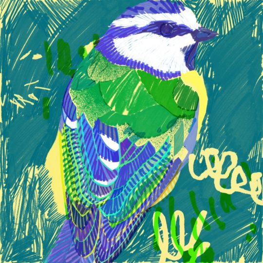 動物鳥絵緑の Android スマホ 壁紙