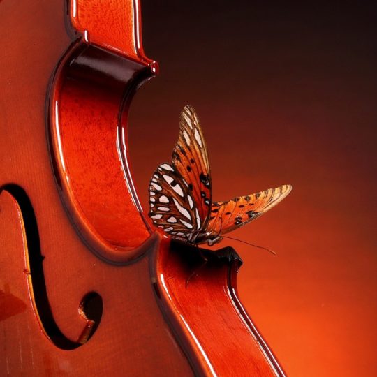 クールバイオリン蝶赤の Android スマホ 壁紙