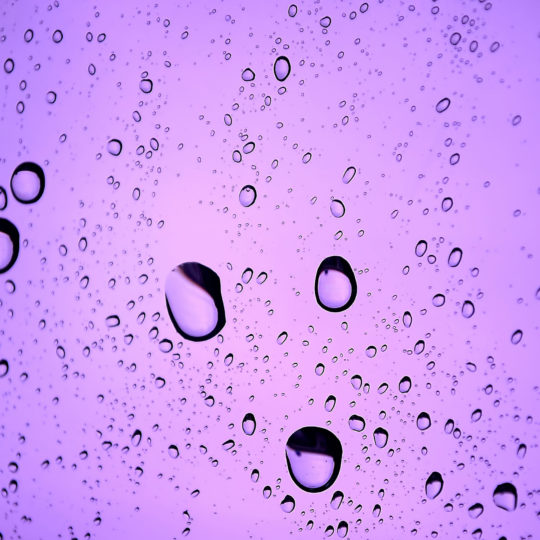自然水滴紫の Android スマホ 壁紙