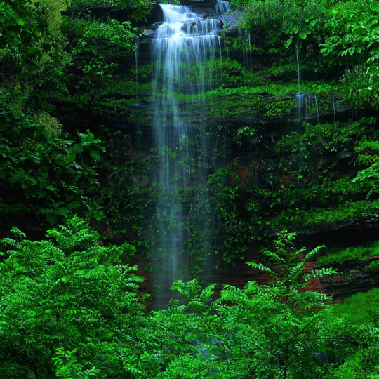 風景滝緑の Android スマホ 壁紙