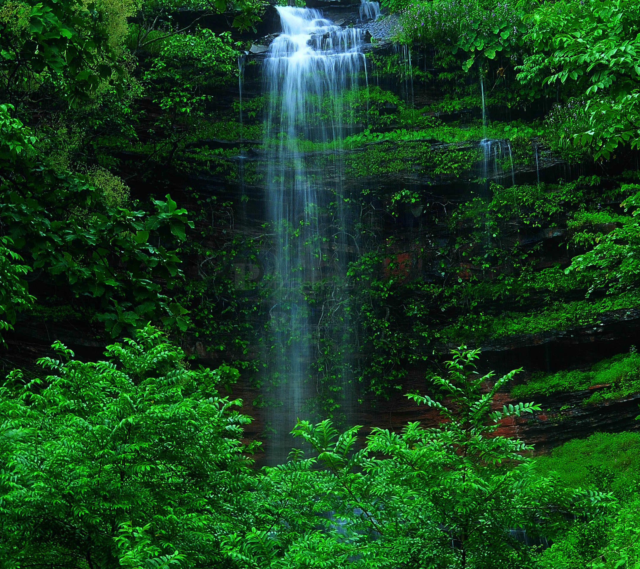 風景滝緑 | wallpaper.sc スマホ壁紙