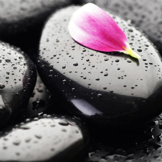 自然花びら紫石黒の Android スマホ 壁紙
