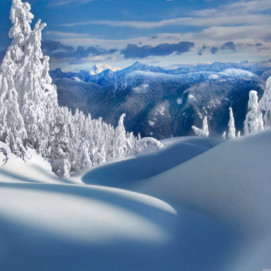 風景雪の Android スマホ 壁紙