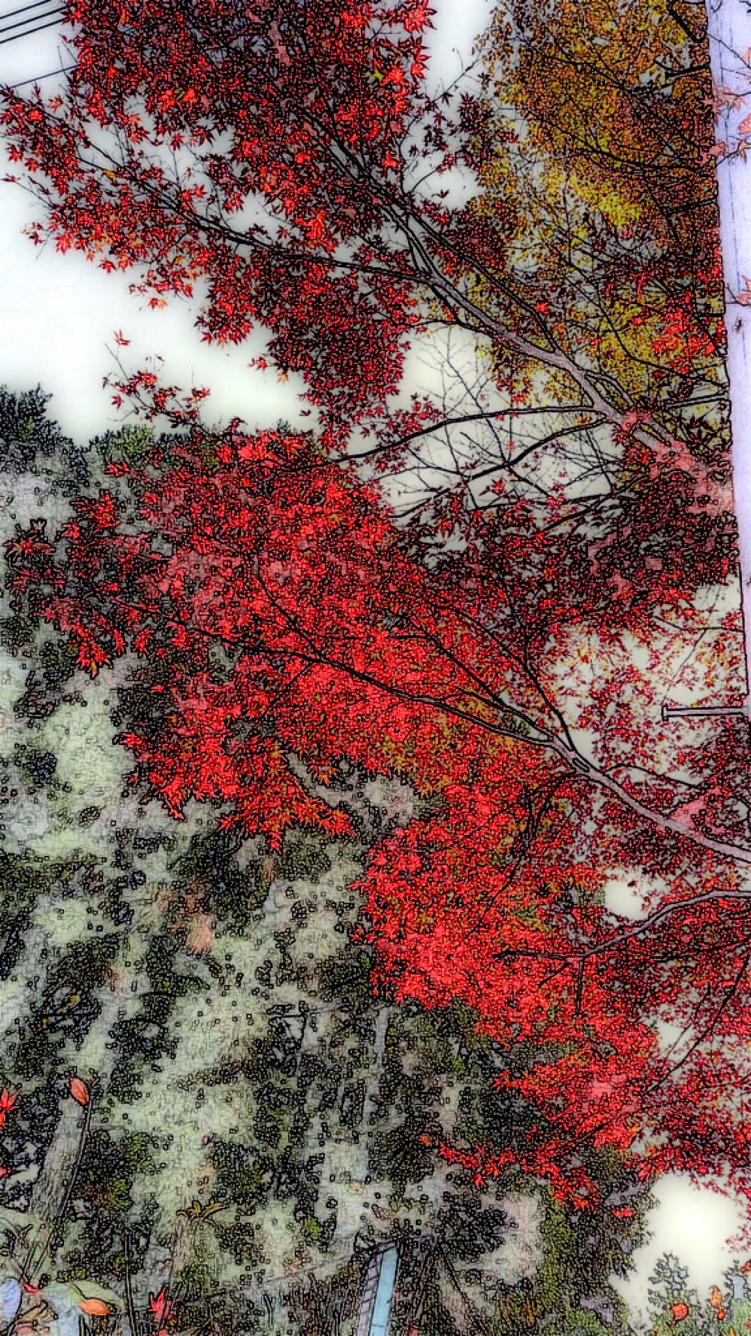 Autumn leaves landscape | wallpaper.sc SmartPhone