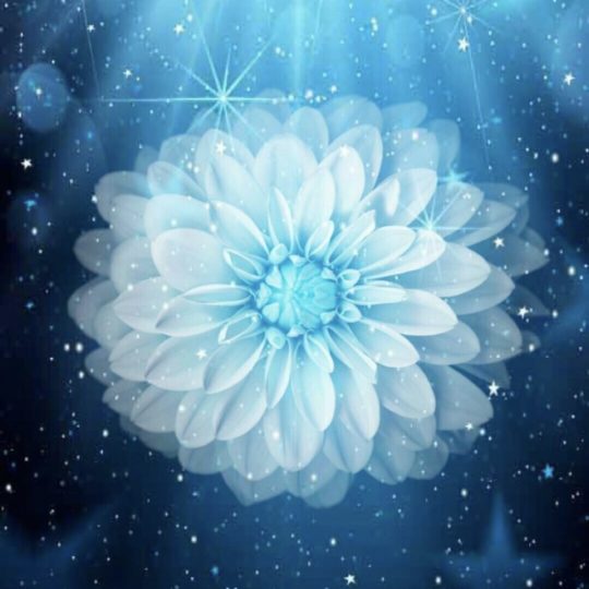 Flower Space Android SmartPhone Wallpaper