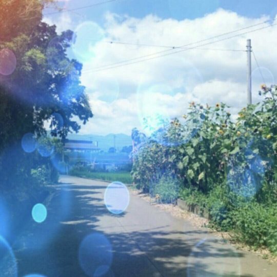 Summer Path Android SmartPhone Wallpaper