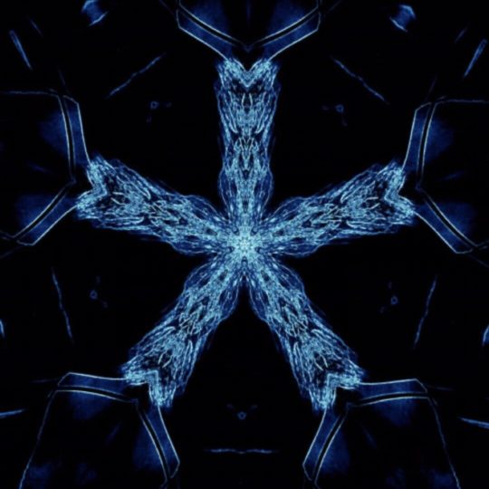 Starfish Blue Android SmartPhone Wallpaper