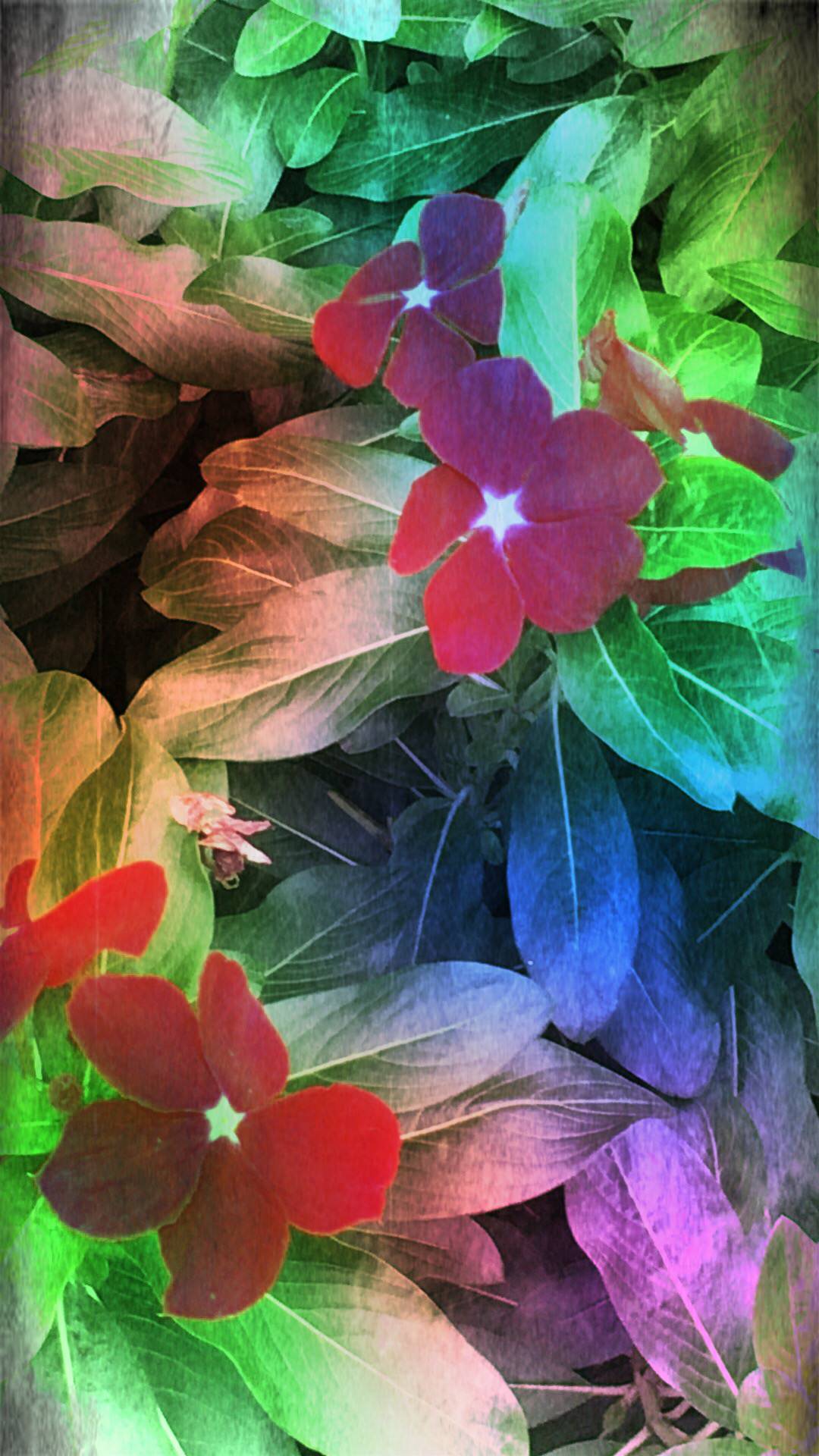 Flower leaf | wallpaper.sc SmartPhone