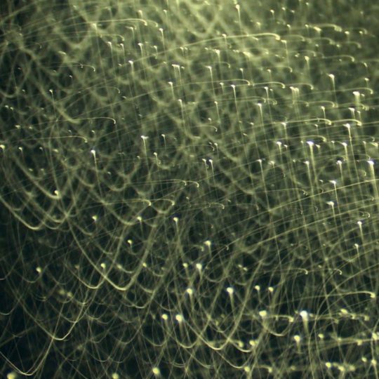 Pattern green Android SmartPhone Wallpaper