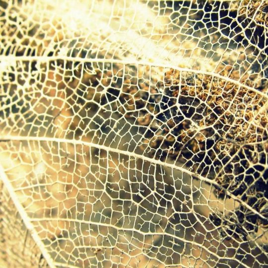 Natural fiber Android SmartPhone Wallpaper