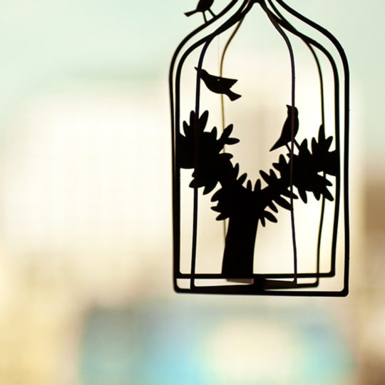 Landscape birdcage Android SmartPhone Wallpaper