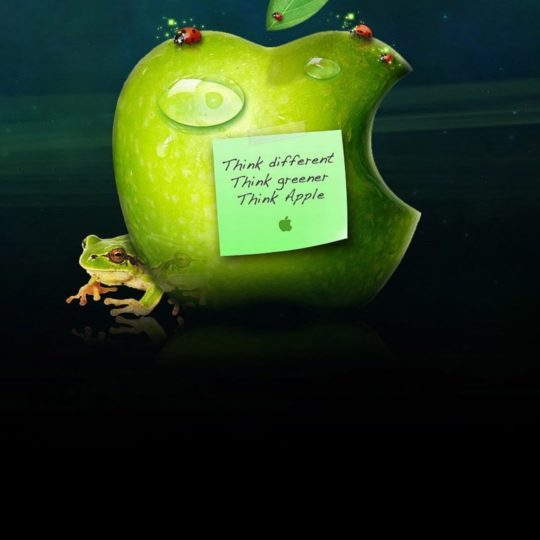 Apple green frog Android SmartPhone Wallpaper