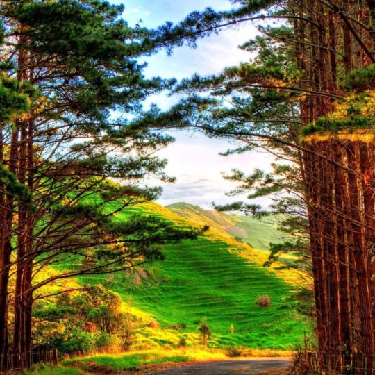 Landscape avenue Android SmartPhone Wallpaper