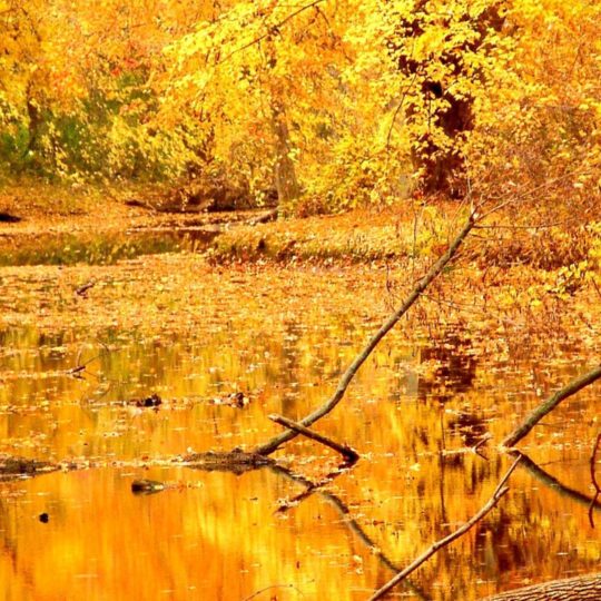 Landscape yellow autumn leaves Android SmartPhone Wallpaper