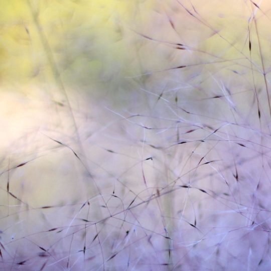 Natural white Android SmartPhone Wallpaper