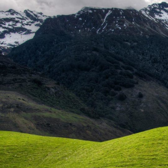 Grassland landscape Android SmartPhone Wallpaper