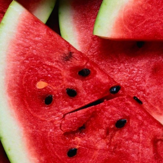 Food watermelon red Android SmartPhone Wallpaper