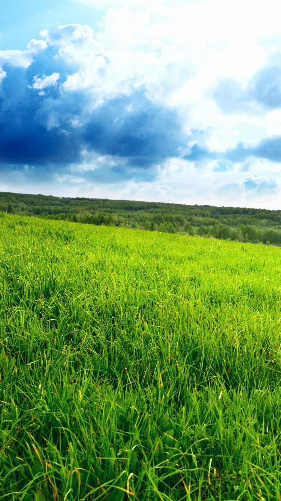 Grassland green landscape wallpaper.sc SmartPhone