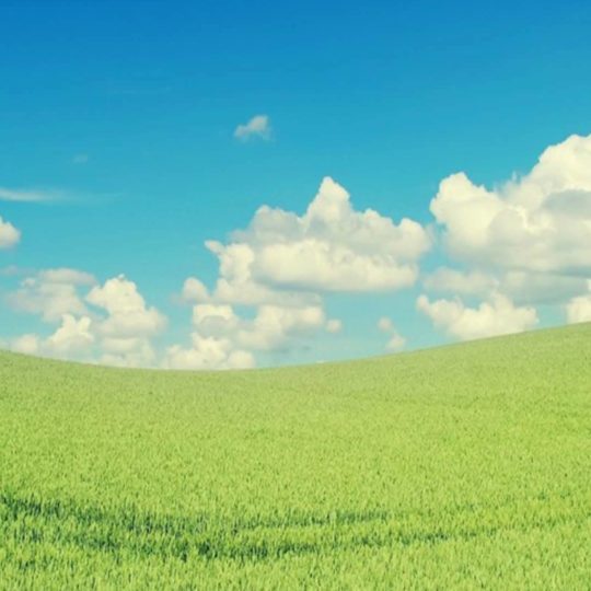 cloud  sky  green Android SmartPhone Wallpaper