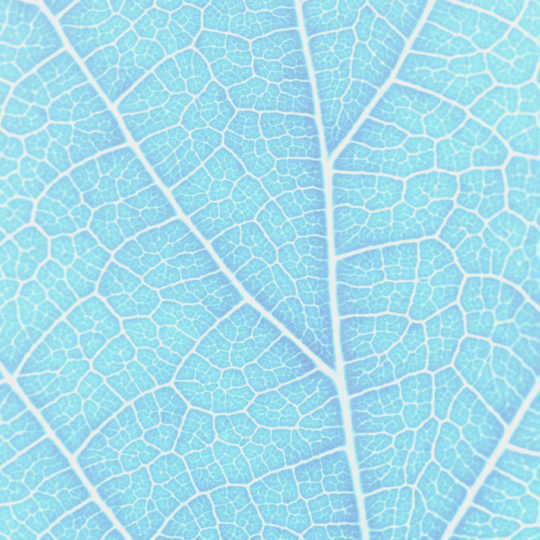 Pattern vein Blue Android SmartPhone Wallpaper