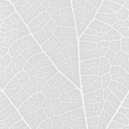 Pattern vein Gray Android SmartPhone Wallpaper