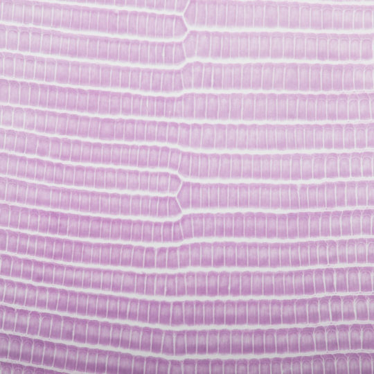 Leaf vein gradation Pink Android SmartPhone Wallpaper