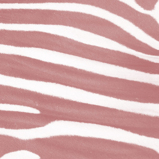 Zebra pattern orange Android SmartPhone Wallpaper