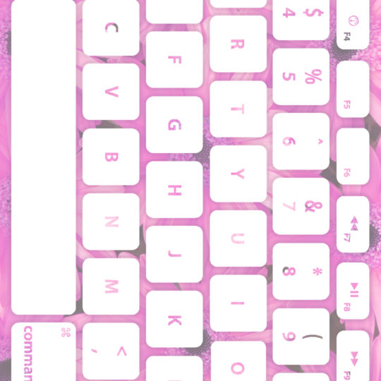 Flower keyboard Momo white Android SmartPhone Wallpaper