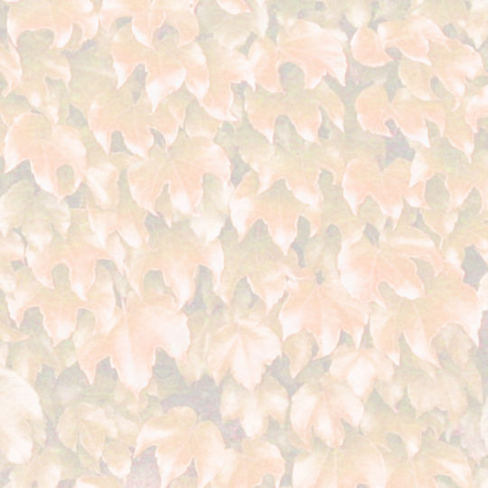 Leaf pattern orange Android SmartPhone Wallpaper