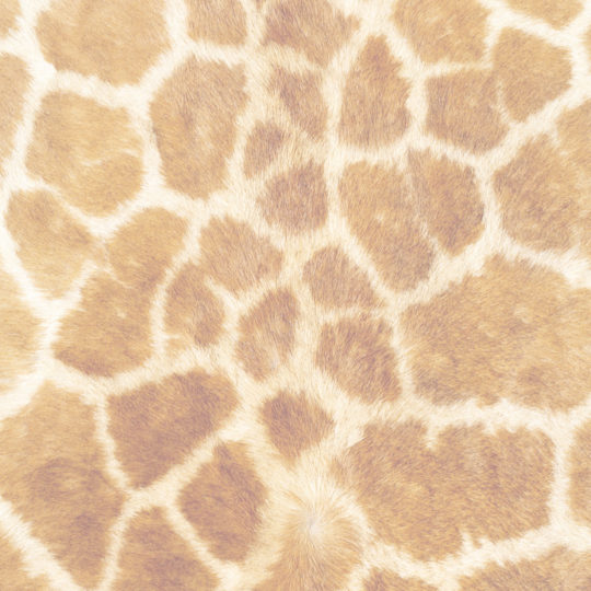 Fur pattern orange Android SmartPhone Wallpaper